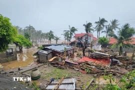 Cảnh tàn phá do siêu bão Fung-wong tại Catanduanes, Philippines. (Ảnh: THX/TTXVN)