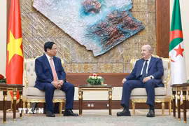 Thủ tướng Phạm Minh Chính hội kiến Tổng thống Algeria Abdelmadjid Tebboune. (Ảnh: Dương Giang/TTXVN)