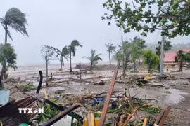 Khu vực chịu ảnh hưởng bởi siêu bão Fung-wong tại tỉnh Catanduanes, Philippines. (Ảnh: THX/TTXVN)