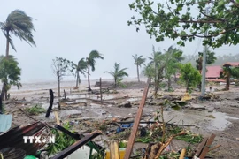 Khu vực chịu ảnh hưởng bởi siêu bão Fung-wong tại tỉnh Catanduanes, Philippines. (Ảnh: THX/TTXVN)
