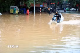 Mưa lớn gây ngập úng một tuyến đường ở Tuyên Quang. (Ảnh: Quang Cường/TTXVN)