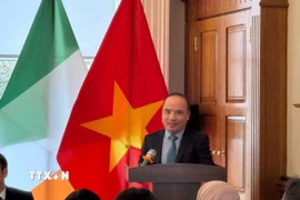 Ông Lê Đình Bá, Tham tán Thương mại, Thương vụ Việt Nam tại Anh (kiêm nhiệm Ireland) phát biểu tại diễn đàn. (Ảnh: TTXVN phát)