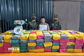 Lực lượng Bộ đội Biên phòng Quảng Trị đấu tranh thành công chuyên án "khủng" về ma túy, thu giữ 500kg ma túy các loại. (Ảnh: TTXVN phát)