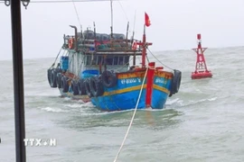 Lai dắt tàu cá. (Ảnh minh họa. Nguồn: TTXVN)