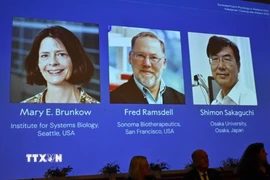 Chân dung các nhà khoa học đoạt giải Nobel Y Sinh năm 2025 (từ trái sang): Mary E Brunkow, Fred Ramsdell và Shimon Sakaguchi. (Ảnh: Reuters/TTXVN)