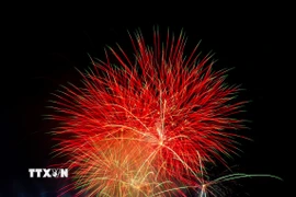 Pháo hoa rực rỡ chào đón năm mới 2026 tại Cầu Cảng Sydney, Australia. (Ảnh: THX/TTXVN)