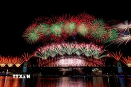 Pháo hoa rực rỡ chào đón năm mới 2026 tại Cầu Cảng Sydney, Australia. (Ảnh: THX/TTXVN)