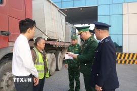 Hải quan Cửa khẩu Móng Cái làm thủ tục thông quan lô hàng nhập khẩu đầu năm 2026. (Ảnh: TTXVN phát)