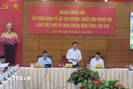 Phó Chủ tịch Quốc hội Nguyễn Hồng Diên phát biểu chỉ đạo tại buổi làm việc. (Ảnh: Hương Thu/TTXVN)