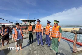 Lực lượng chức năng kiểm tra hàng hóa trên phương tiện ĐN 1233. (Ảnh: TTXVN phát)