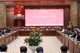 Toàn cảnh hội nghị. (Ảnh Vũ Quang/TTXVN)