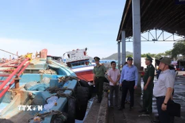 Phó Chủ tịch Ủy ban Nhân dân Thành phố Hồ Chí Minh Hoàng Nguyên Dinh kiểm tra, khảo sát về công tác chống khai thác IUU tại cảng Hưng Thái, xã Long Hải. (Ảnh: Hoàng Nhị/TTXVN)