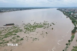 Toàn cảnh sông Mekong từ trên cao. (Ảnh: Đỗ Bá Thành/TTXVN)