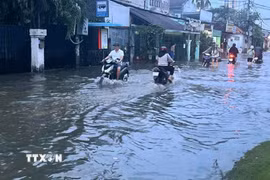 (Ảnh minh họa: Trung Tuyến/TTXVN)