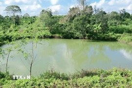 Nơi xảy ra vụ việc thương tâm. (Ảnh: TTXVN phát)