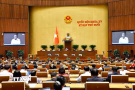 Quang cảnh phiên họp. (Ảnh: Doãn Tấn/TTXVN)
