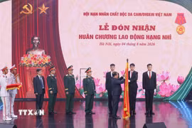 Đồng chí Nguyễn Phi Long, Ủy viên Trung ương Đảng, Phó Bí thư Thường trực Đảng ủy Mặt trận Tổ quốc, các đoàn thể Trung ương trao Huân chương Lao động hạng Nhì của Chủ tịch nước tặng Hội Nạn nhân chất độc da cam/dioxin Việt Nam. (Ảnh: Hoàng Hiếu/TTXVN)