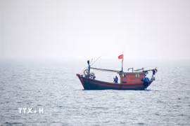 Tàu cá Việt Nam hoạt động trên vùng biển phía Bắc Vịnh Bắc Bộ. (Ảnh: TTXVN phát)