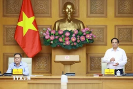 Bí thư Đảng ủy Chính phủ, Thủ tướng Chính phủ Phạm Minh Chính phát biểu. (Ảnh: Dương Giang/TTXVN)