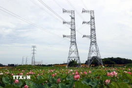 Tuyến đường dây 500kV. (Ảnh: Huy Hùng/TTXVN)