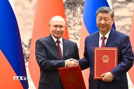 Chủ tịch Trung Quốc Tập Cận Bình và Tổng thống Nga Vladimir Putin tại cuộc gặp ở Bắc Kinh, Trung Quốc, ngày 20/5/2026. (Ảnh: AA/TTXVN)
