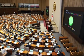 Một phiên họp Quốc hội Hàn Quốc tại thủ đô Seoul. (Ảnh: Yonhap/TTXVN)