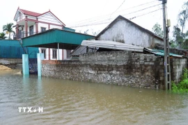 Do nước dâng nhanh, đường dân sinh bị ngập sâu, nhiều nhà dân ở vùng trũng, thấp trên địa bàn tỉnh Nghệ An bị cô lập. (Ảnh: Xuân Tiến/TTXVN)