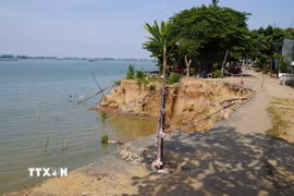 Một trong những điểm sạt lở bờ sông Tiền (thuộc ấp Long Thạnh, xã Long Phú Thuận) ăn sâu vào tuyến đường nhựa liên xã. (Ảnh: Nhựt An/TTXVN)