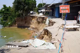 Sạt lở bờ sông Tiền (thuộc ấp Long Thạnh, xã Long Phú Thuận, tỉnh Đồng Tháp), cắt đứt đường giao thông. (Ảnh: Nhựt An/TTXVN)