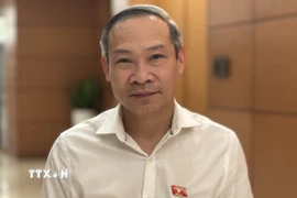 Ông Phan Đức Hiếu, Ủy viên Thường trực Ủy ban Kinh tế của Quốc hội, trả lời phỏng vấn của TTXVN. (Ảnh: Hải Ngọc/TTXVN)
