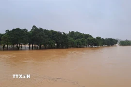 Cồn Dã Viên giữa sông Hương, thành phố Huế vẫn bị ngập sâu do lũ còn trên báo động 3 là 0,37m. (Ảnh: Nguyên Lý/TTXVN)