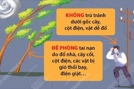 Ứng phó với bão số 3: Các biện pháp phòng tránh khi bão đổ bộ