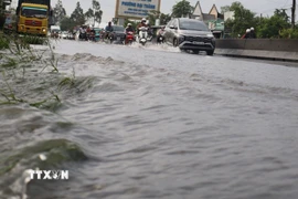 Triều cường dâng cao ảnh hưởng đến việc lưu thông các phương tiện trên Quốc lộ 1A đoạn qua thành phố Cần Thơ. (Ảnh: Tuấn Phi/TTXVN)