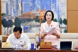 Phó Chủ tịch Quốc hội Nguyễn Thị Thanh phát biểu. (Ảnh: Doãn Tấn/TTXVN)
