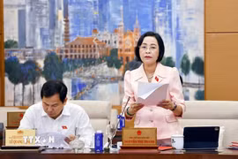 Phó Chủ tịch Quốc hội Nguyễn Thị Thanh phát biểu. (Ảnh: Doãn Tấn/TTXVN)