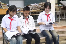 Ảnh minh họa. (Nguồn: TTXVN phát)