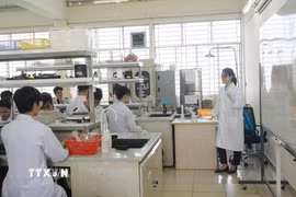 Giờ giảng dạy thực hành tại phòng thí nghiệm tại Trường Đại học Khoa học Sức khoẻ, Đại học Quốc gia Thành phố Hồ Chí Minh. (Ảnh: Thu Hoài/TTXVN)
