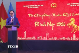 Đại sứ Đỗ Hùng Việt phát biểu chúc Tết. (Ảnh: Lê Hoàng/TTXVN)