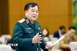 Thượng tướng Hoàng Xuân Chiến, Thứ trưởng Bộ Quốc phòng. (Ảnh: Doãn Tấn/TTXVN)