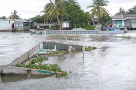 Căn nhà của hộ ông Nguyễn Văn Dũng bị nhấn chìm xuống sông Ô Môn, ước tính thiệt hại khoảng 150 triệu đồng. (Ảnh: TTXVN phát)