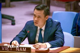 Đại sứ Đặng Hoàng Giang, Trưởng Phái đoàn thường trực Việt Nam tại Liên hợp quốc. (Ảnh: Hoài Thanh/TTXVN)