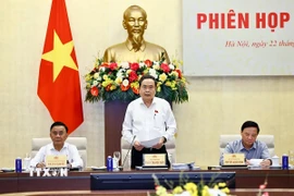 Chủ tịch Quốc hội Trần Thanh Mẫn, Chủ tịch Ủy ban dự thảo sửa đổi, bổ sung một số điều của Hiến pháp năm 2013 phát biểu. (Ảnh: Doãn Tấn/TTXVN)