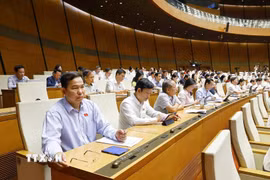Đoàn đại biểu Quốc hội Thành phố Hồ Chí Minh dự phiên họp. (Ảnh: Doãn Tấn/TTXVN)