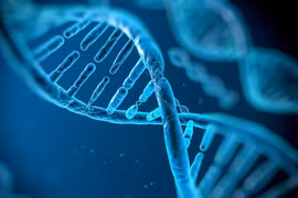 Ảnh minh họa. (Nguồn: Science)