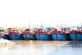 Tàu thuyền neo đậu trong cảng cá Ninh Cơ. (Ảnh: Nguyễn Lành/TTXVN)