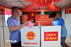 Thuyền viên tàu Hải An 68 bỏ phiếu bầu cử trên tàu Trường Sa 04. (Ảnh: TTXVN phát)