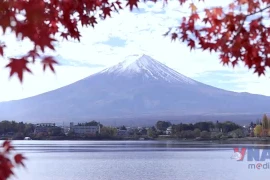 Sắc Thu trong Lễ hội Momiji bên hồ Kawaguchi ở Nhật Bản