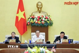 Chủ tịch Quốc hội Trần Thanh Mẫn phát biểu. (Ảnh: Doãn Tấn/TTXVN)