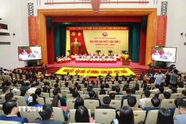 Phiên khai mạc Đại hội đại biểu Đảng bộ tỉnh Thái Nguyên lần thứ nhất, nhiệm kỳ 2025-2030. (Ảnh: Vũ Hoàng Giang/TTXVN)