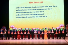 Trao quyết định cho Ban thường vụ Tỉnh ủy Gia Lai. (Ảnh: Sỹ Thắng/TTXVN)
